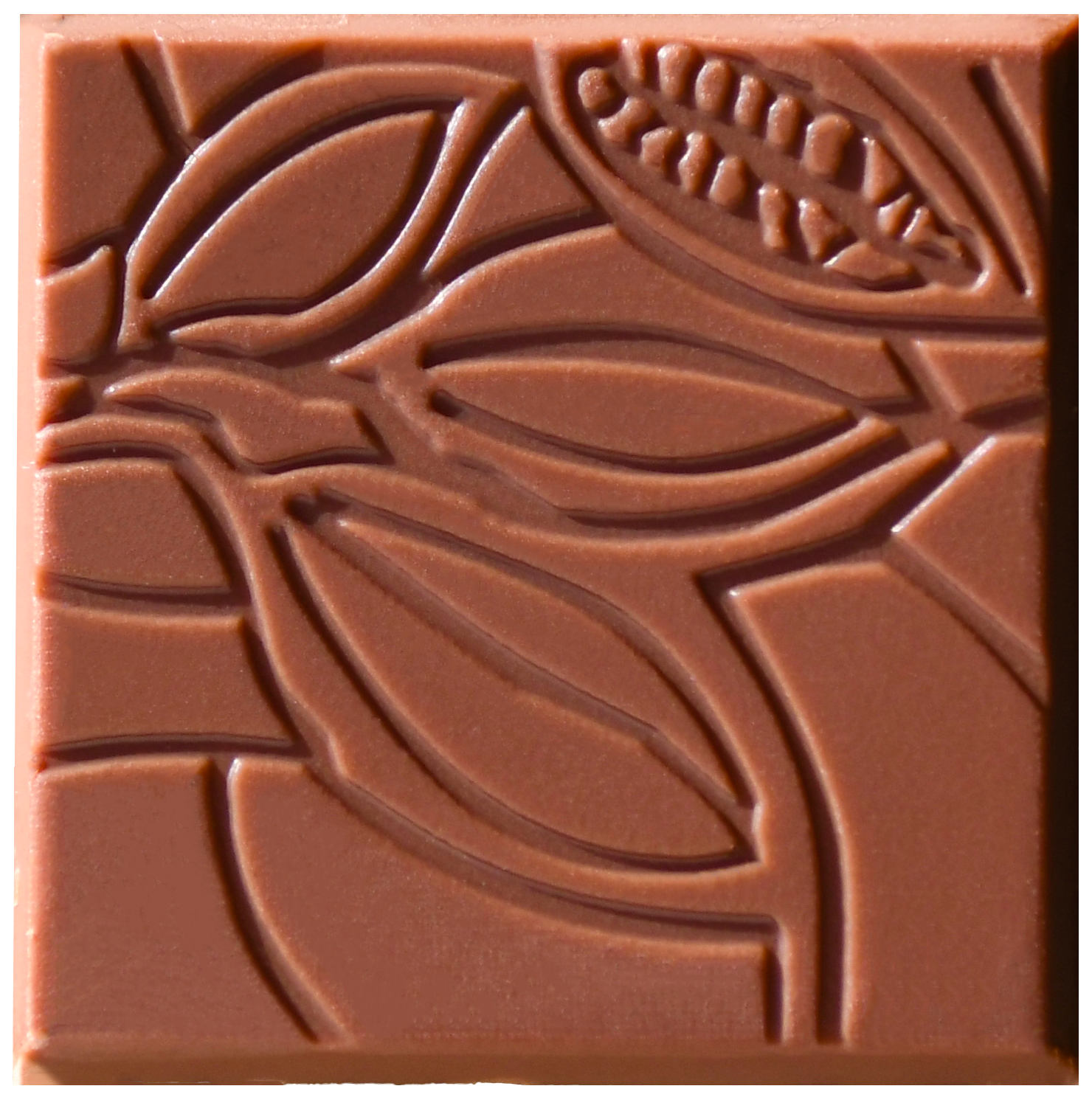 Revealed Chocolate